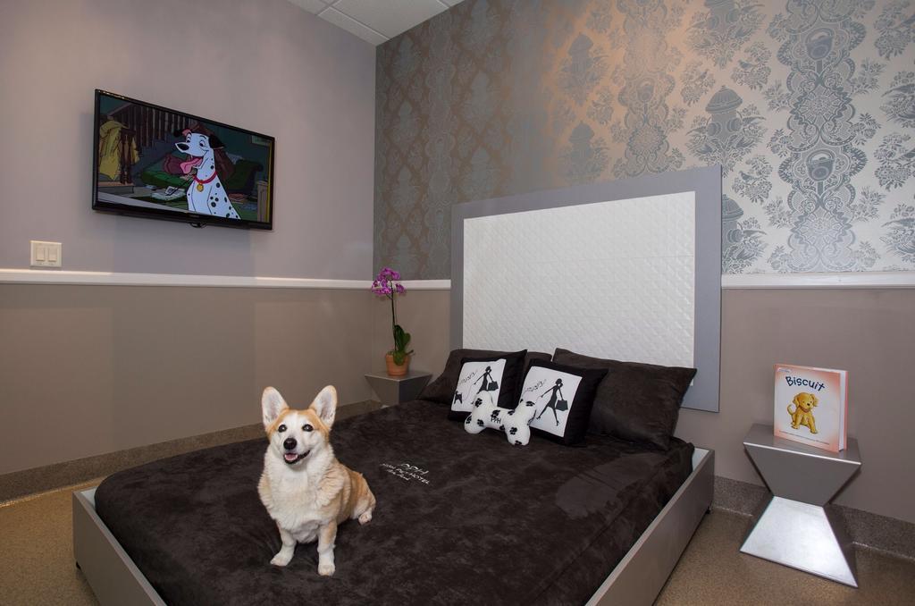 Freer Motel Ngoại thất bức ảnh